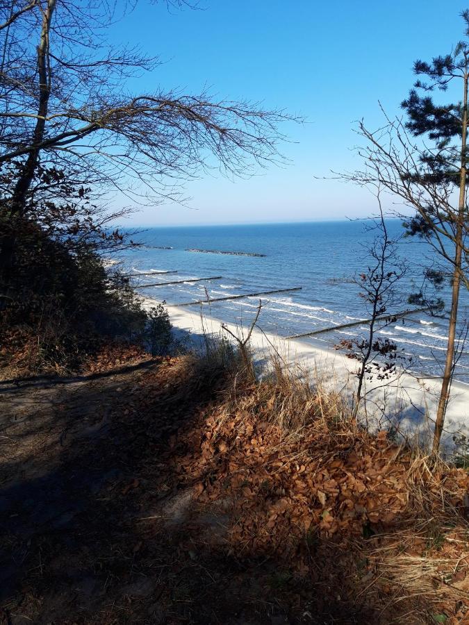 Usedom Appartement Koserow